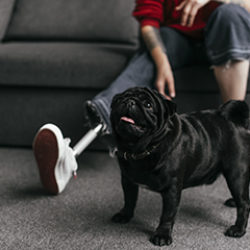 Partner With Your Pets to Succeed With Diet and Exercise Plans