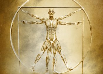 Can Synthetic Muscles Deliver Real Power to a Prosthetic Leg?