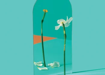 The Problem With Solving Problems