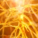 Altius PNS System Promises Pain Relief for Amputees