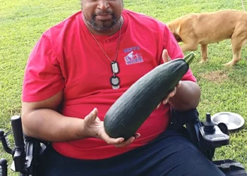 Healing Through Hobbies