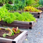 Rethinking Community Gardens for Accessibility