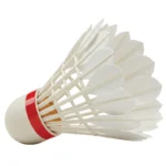 Badminton Boosts Amputee Health
