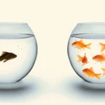 When Amputees Become Socially Isolated