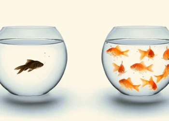 When Amputees Become Socially Isolated