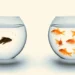 When Amputees Become Socially Isolated